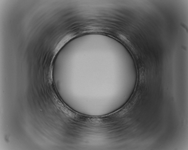 X0000100851370200807111205