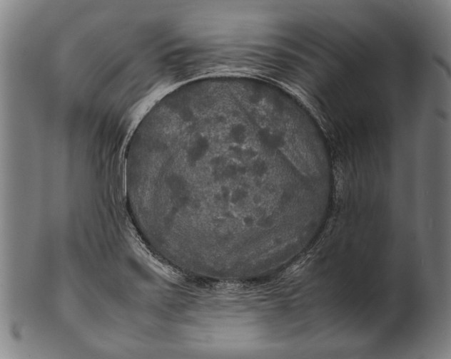 X0000100851371200807111205