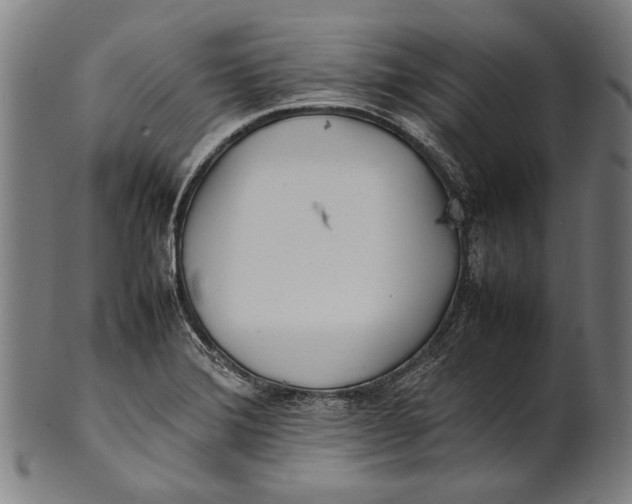 X0000100851372200807111205