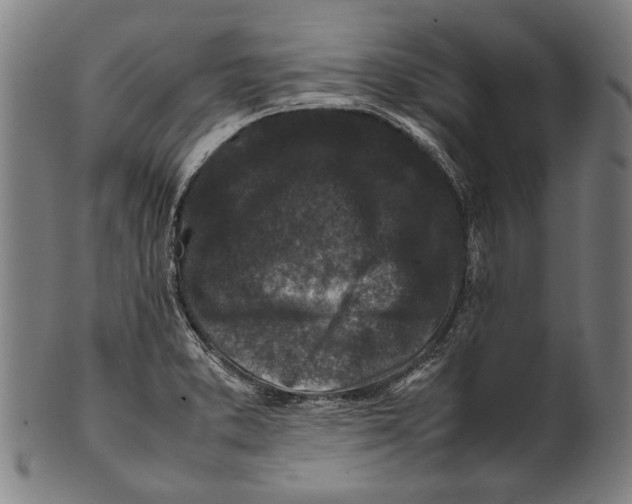 X0000100851373200807111205