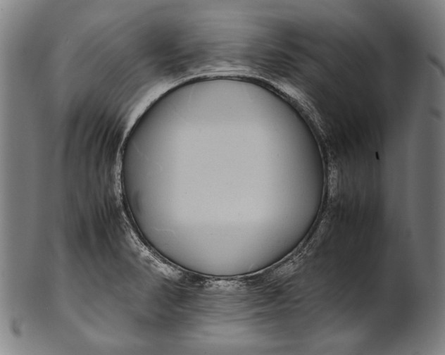 X0000100851374200807111205