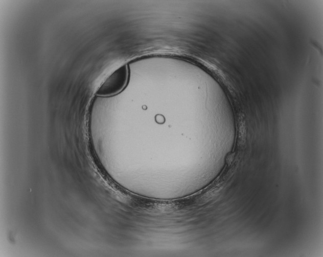 X0000100851375200807111205