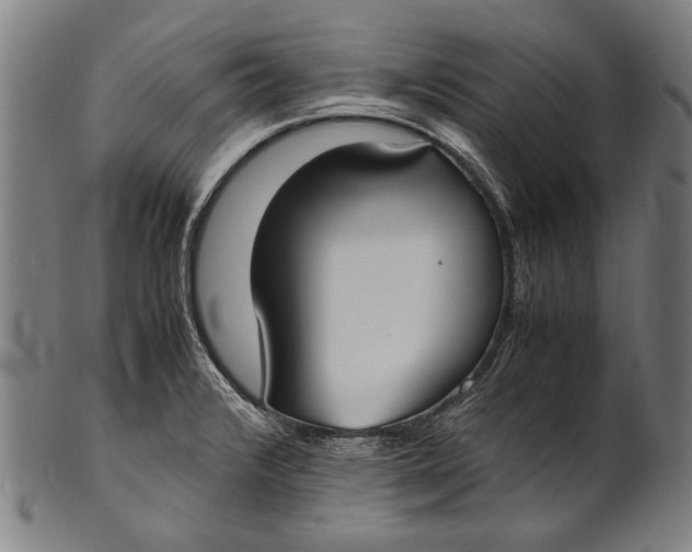 X0000100851376200807111205