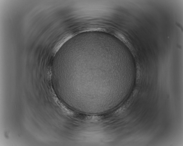 X0000100851377200807111205