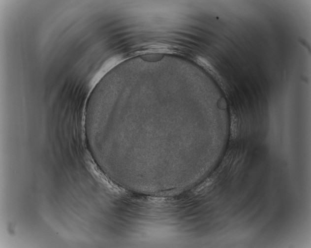 X0000100851378200807111205