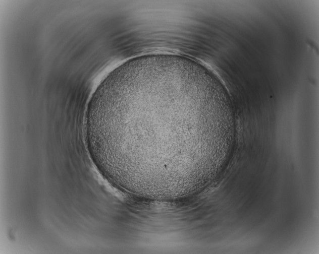 X0000100851379200807111205