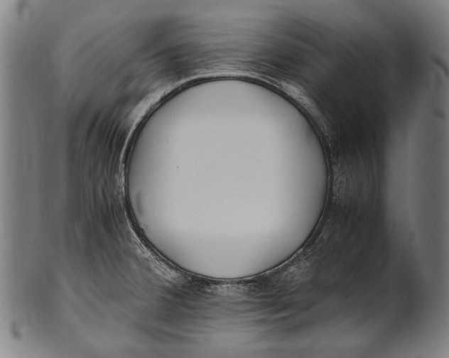 X0000100851380200807111205