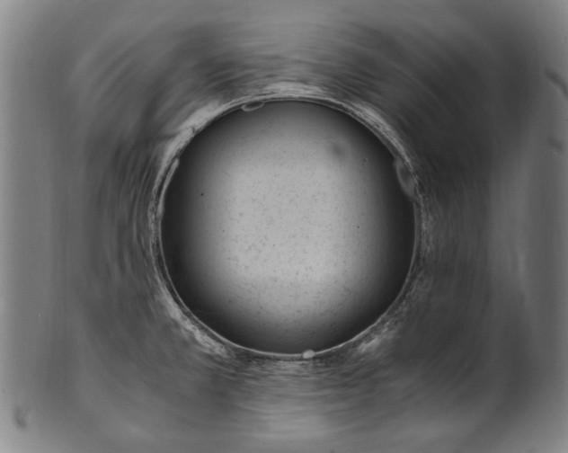 X0000100851381200807111205