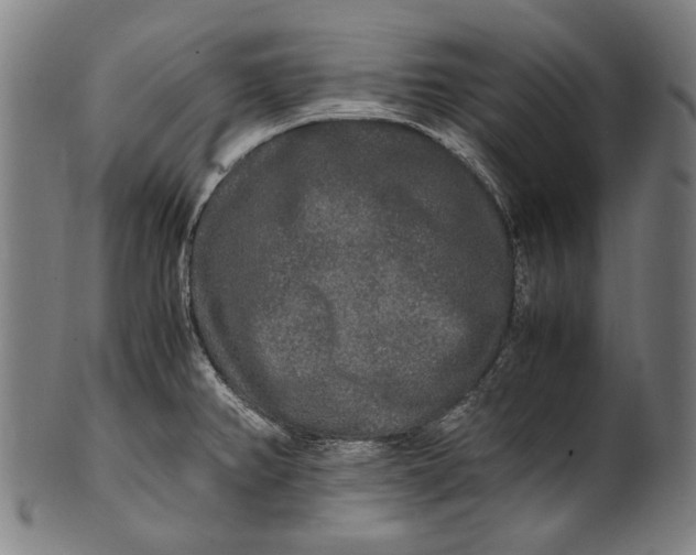 X0000100851382200807111205