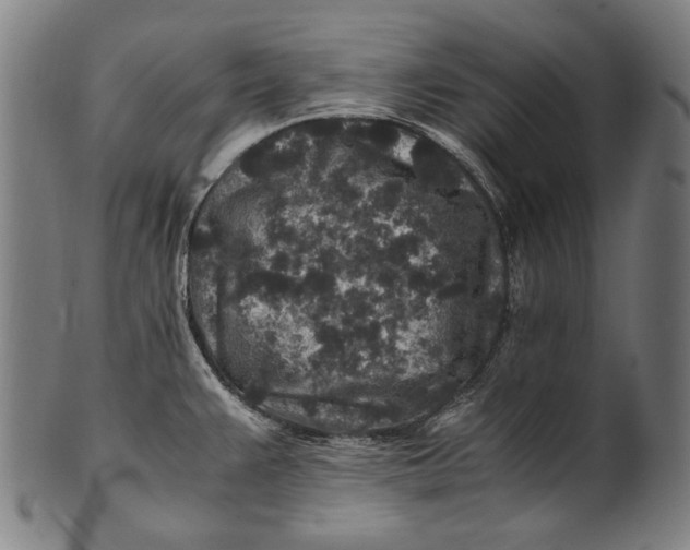 X0000100851383200807111205