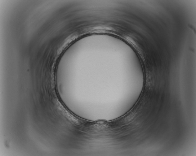 X0000100851384200807111205