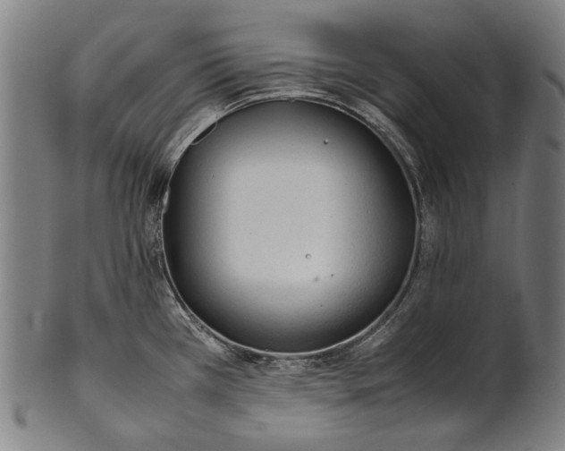 X0000100851385200807111205