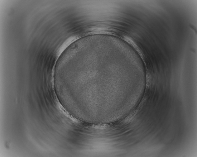 X0000100851386200807111205