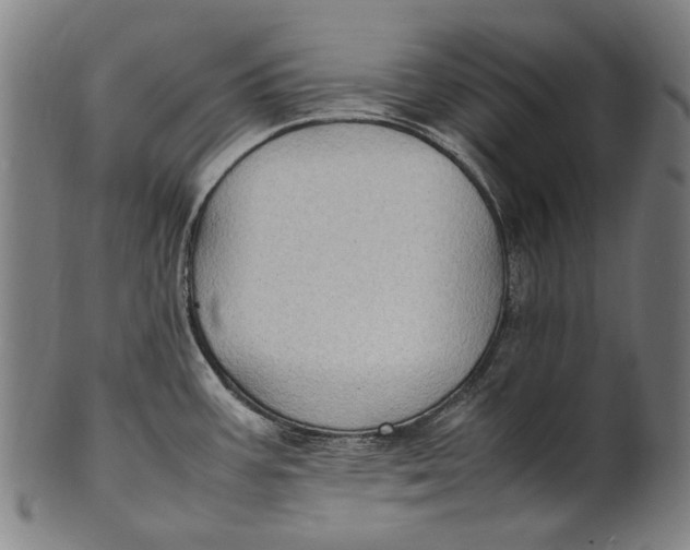 X0000100851387200807111205