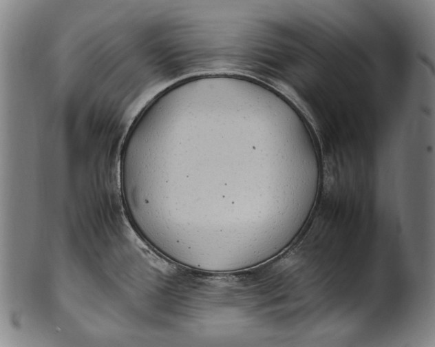 X0000100851388200807111205