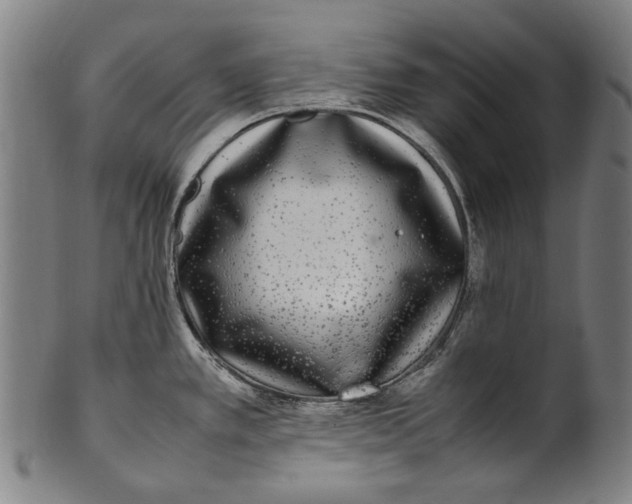 X0000100851389200807111205