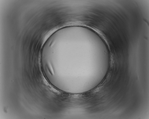 X0000100851390200807111205