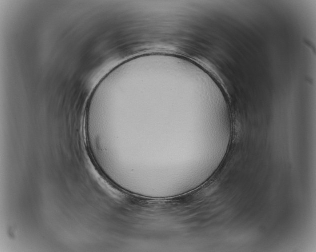 X0000100851391200807111205