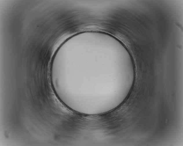 X0000100851392200807111205