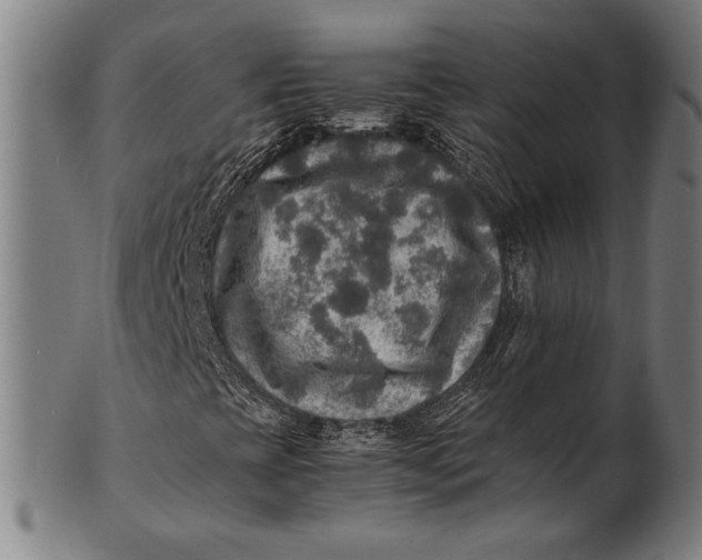 X0000100851393200807111204