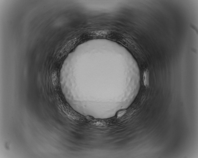 X0000100851395200807111204