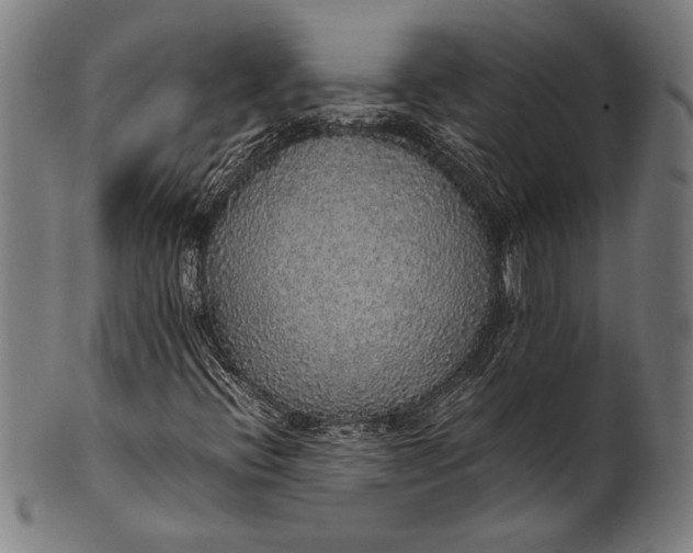 X0000100851396200807111204