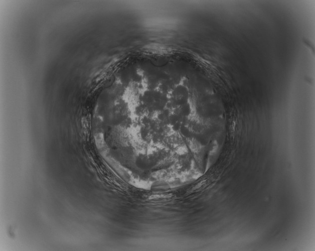 X0000100851397200807111204