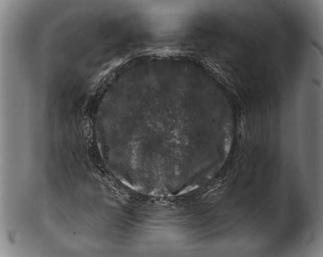 X0000100851398200807111204