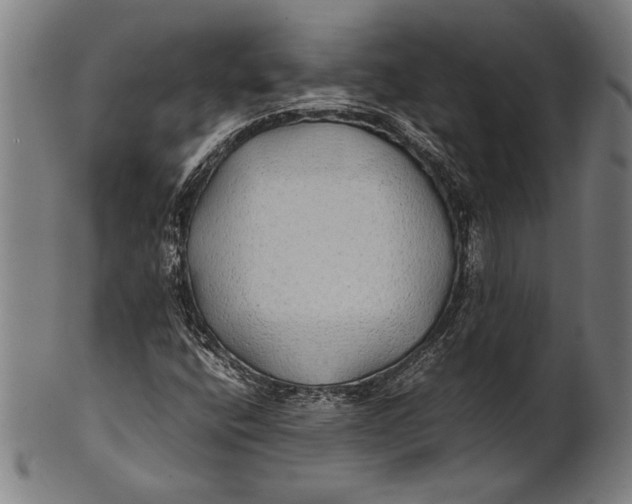 X0000100851400200807111204