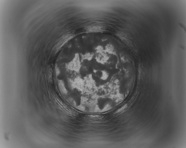 X0000100851401200807111204