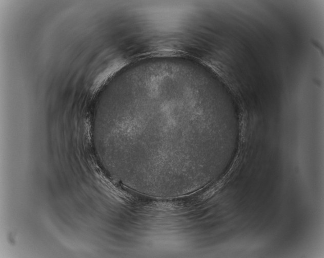 X0000100851402200807111204