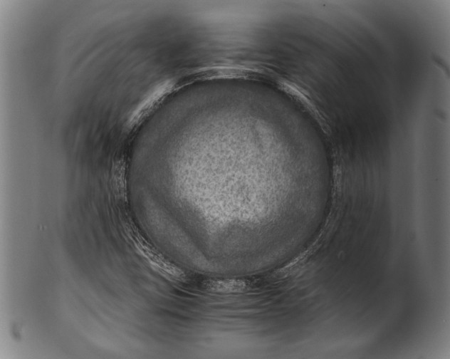 X0000100851403200807111204