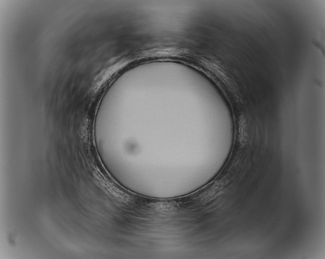 X0000100851404200807111204