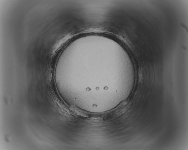 X0000100851406200807111204