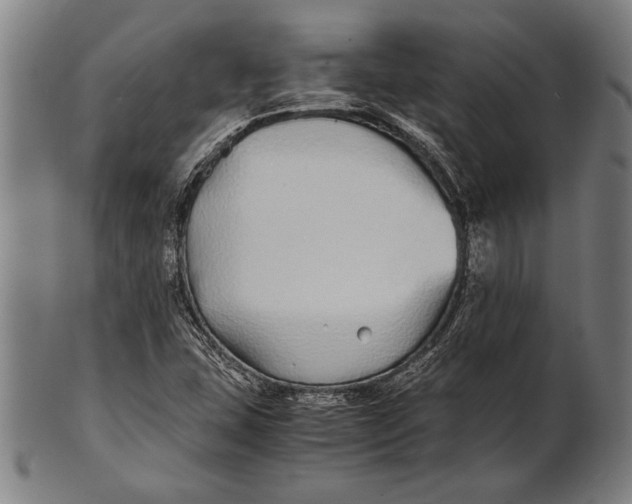 X0000100851407200807111204