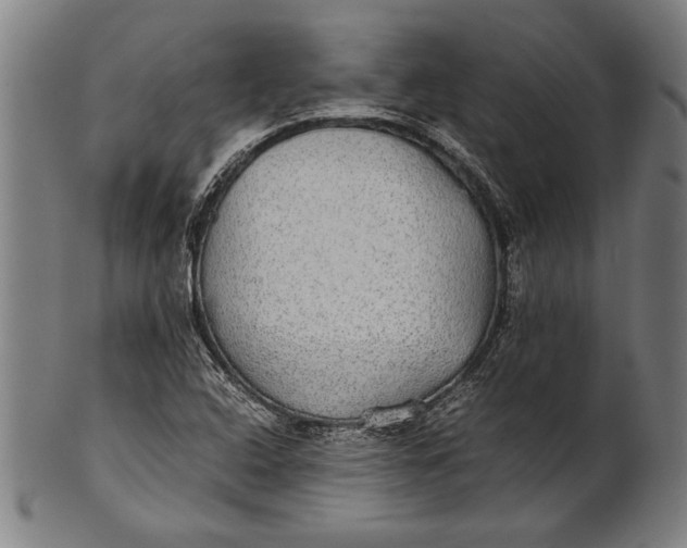 X0000100851408200807111204