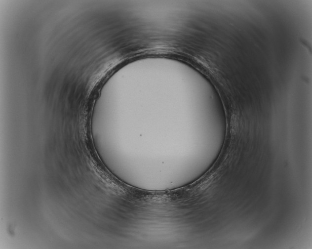 X0000100851410200807111204