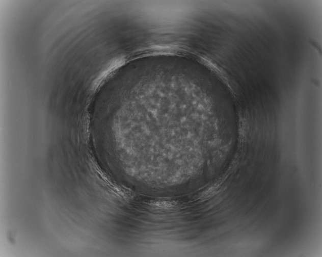 X0000100851411200807111204