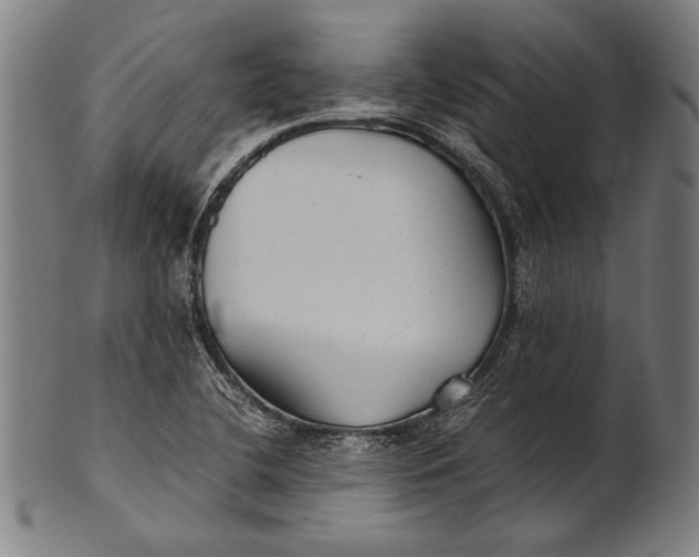 X0000100851412200807111204