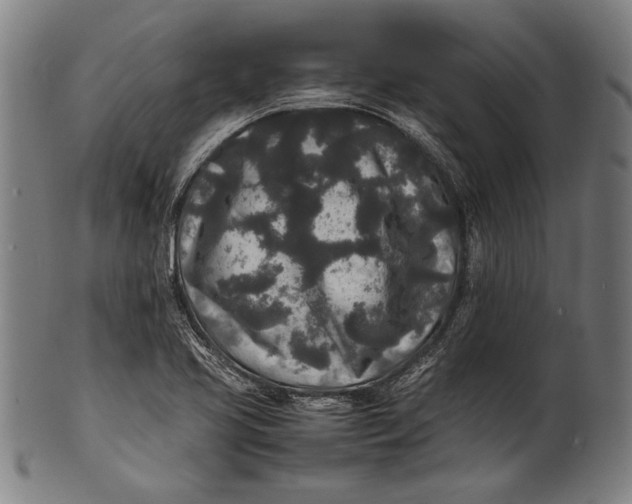 X0000100851413200807111204