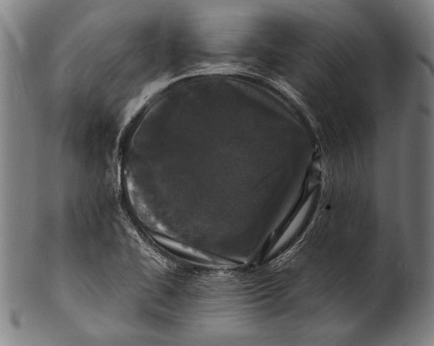 X0000100851414200807111204