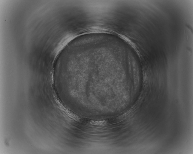 X0000100851415200807111204