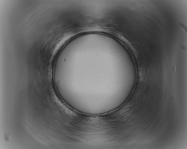 X0000100851416200807111204