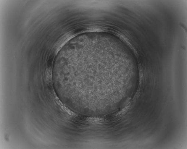 X0000100851417200807111204