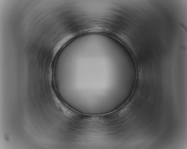 X0000100851418200807111204