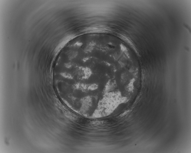 X0000100851419200807111204