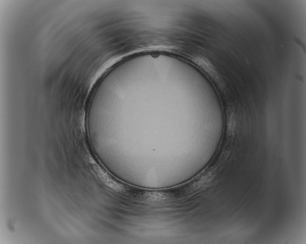 X0000100851420200807111204