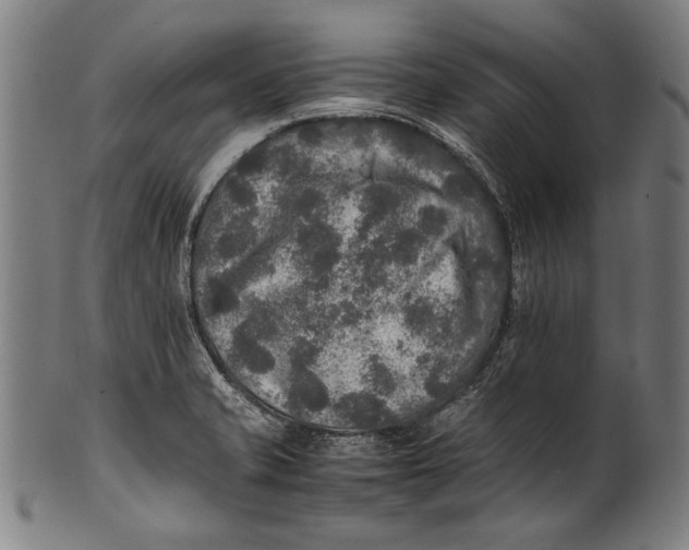 X0000100851421200807111204