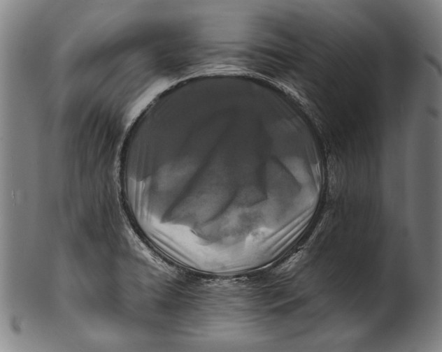 X0000100851422200807111204