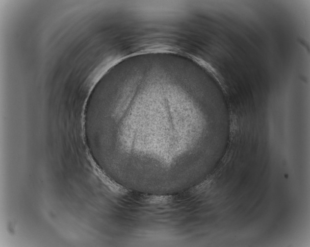 X0000100851423200807111205